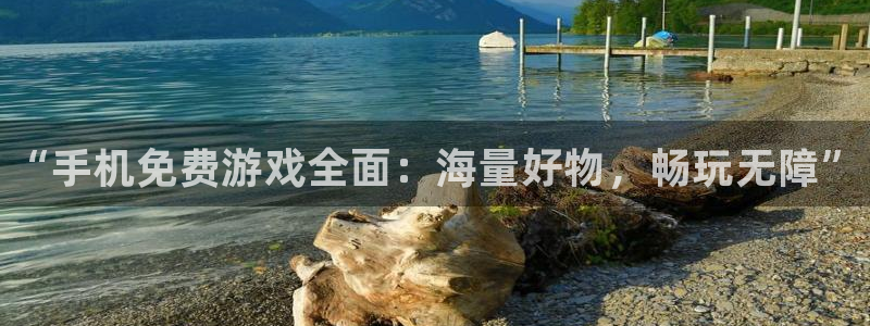 奇亿娱乐网页版地址：“手机免费游戏全面：海量好物，畅玩无障”