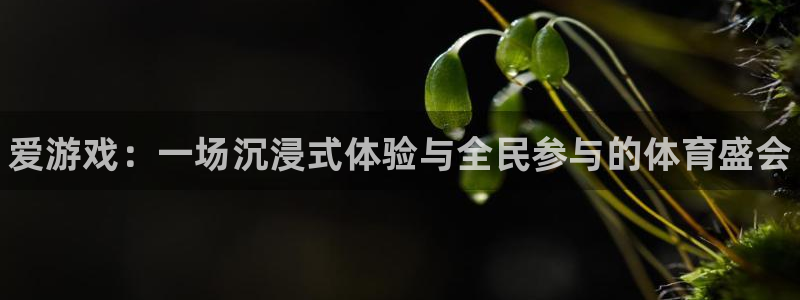 奇亿娱乐科技：爱游戏：一场沉浸式体验与全民参与的体育盛会