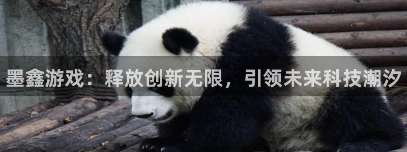 奇亿娱乐平台官网入口：墨鑫游戏：释放创新无限，引领未来科技潮
