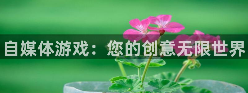 奇亿娱乐升级5994月