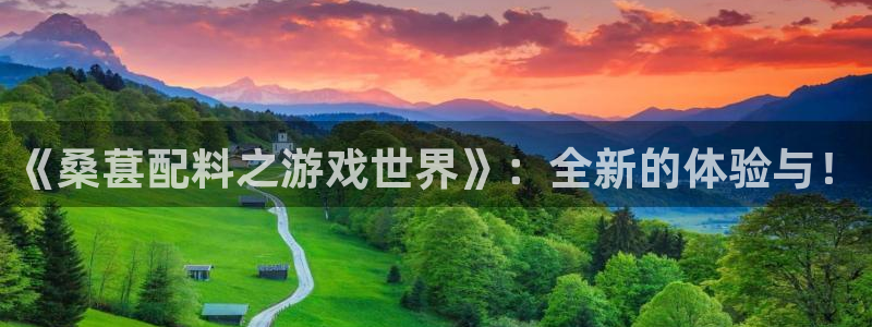 奇亿娱乐集团：《桑葚配料之游戏世界》：全新的体验与！